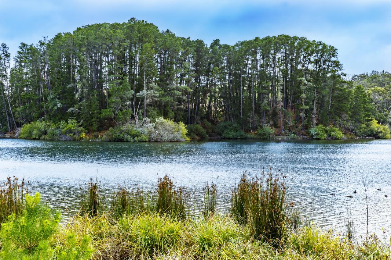 The Sebel Creswick Forest Resort Kültér fotó